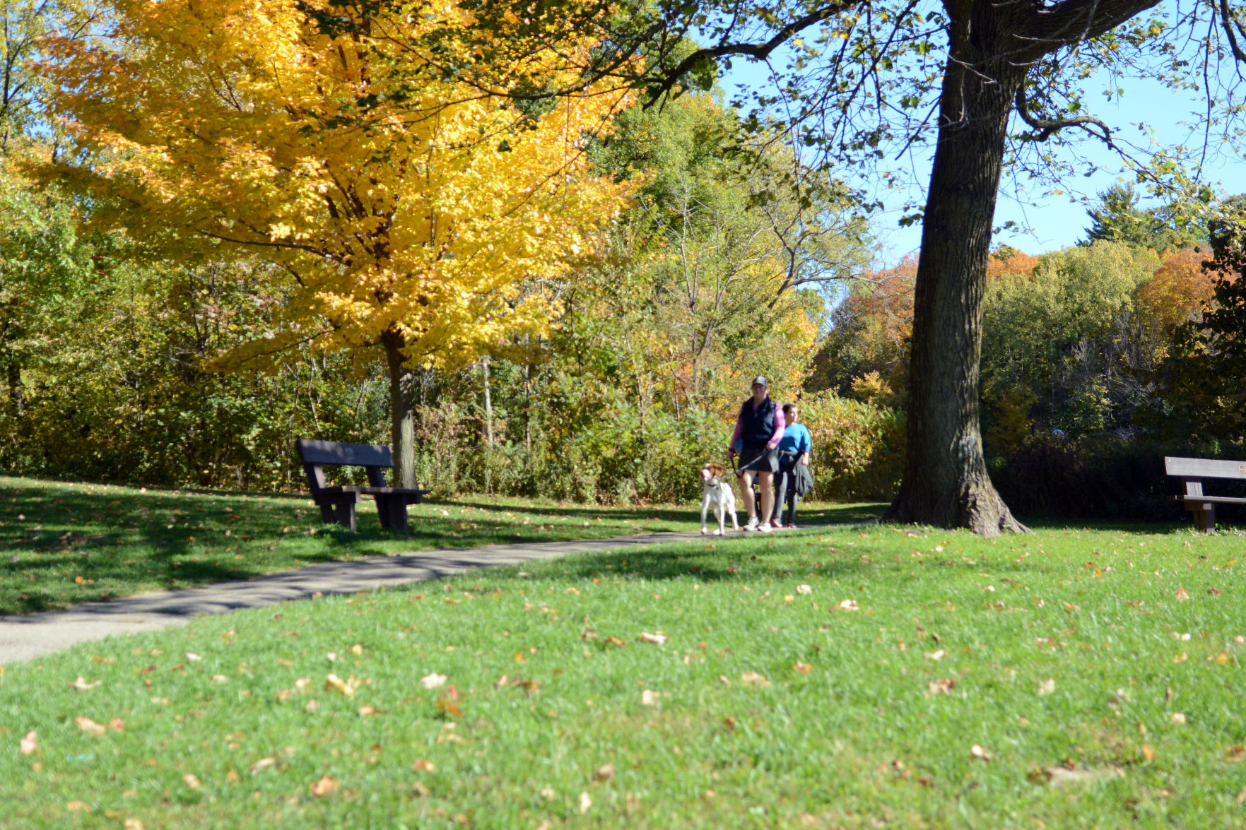 Baraboo area fall color, Oct. 8, 2020